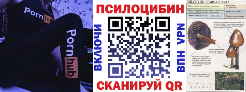 Галлюциногенные грибы Psilocybine cubensis  MEGA как зайти  Приволжский  цена наркотик 